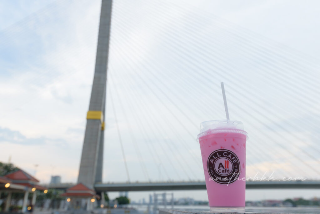ピンクミルクとSOTUSのラマ８世橋